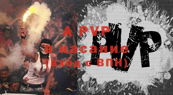 apvp Гусиноозёрск