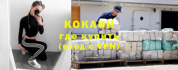 ALPHA-PVP Гусев