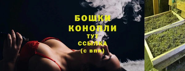apvp Гусиноозёрск