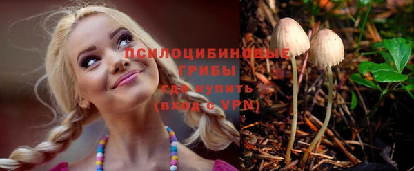 ALPHA-PVP Гусев